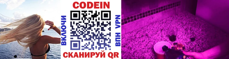 Купить где  Гагарин  Кодеин Purple Drank 