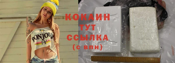 сатива Алзамай