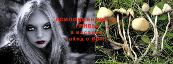 сатива Алзамай