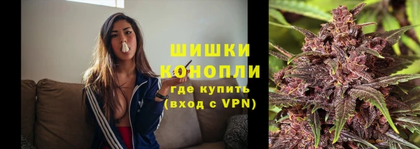 сатива Алзамай